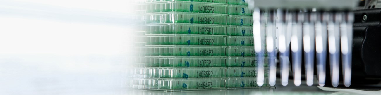 Corporate Governance